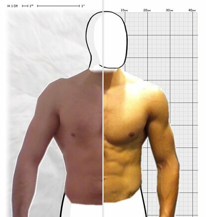 Torso Comparison