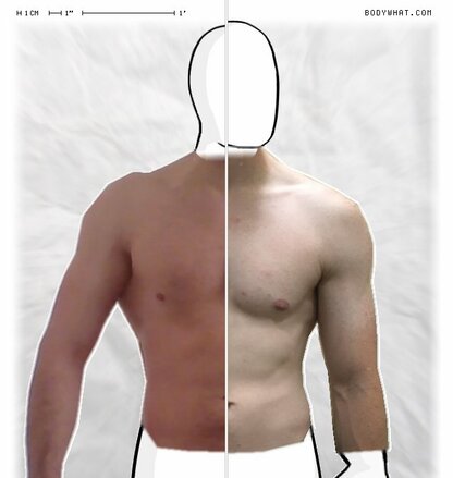 Torso Comparison