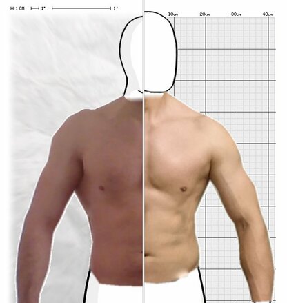 Torso Comparison