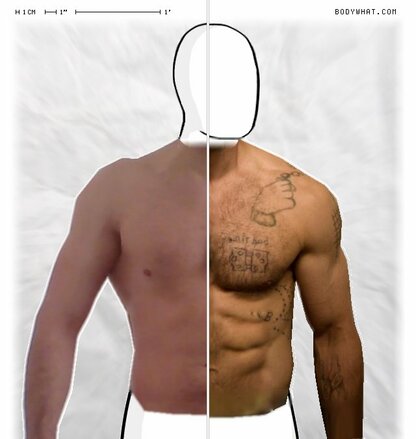 Torso Comparison