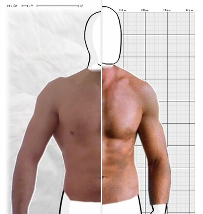 Torso Comparison