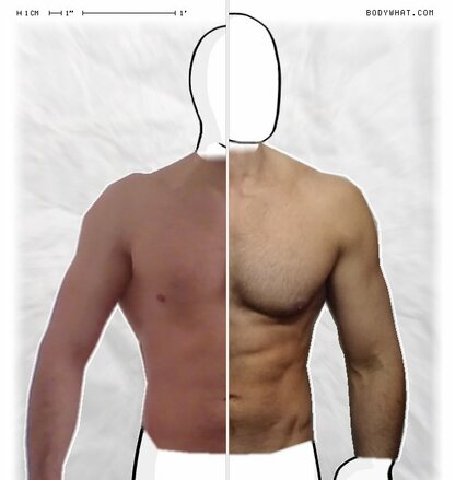 Torso Comparison