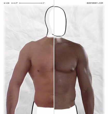 Torso Comparison