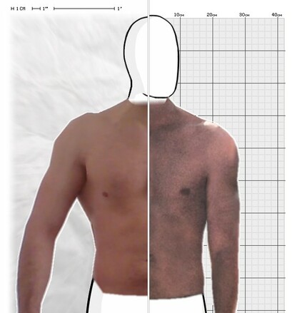 Torso Comparison