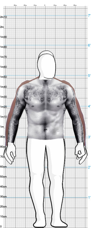 Full Size Comparison