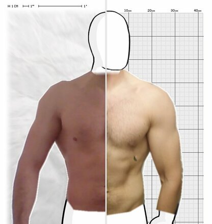 Torso Comparison