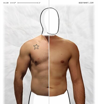 Torso Comparison