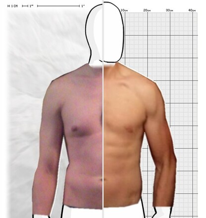 Torso Comparison