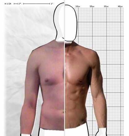 Torso Comparison