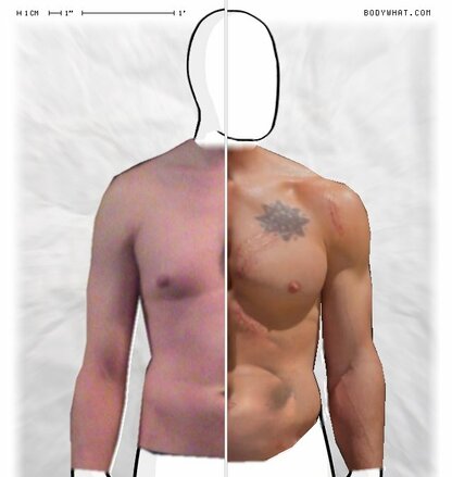 Torso Comparison