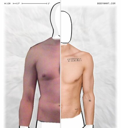 Torso Comparison