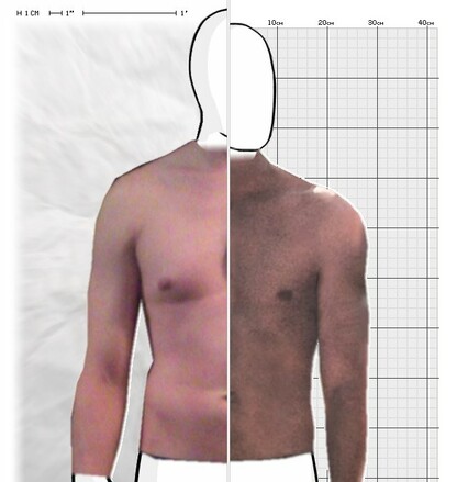 Torso Comparison