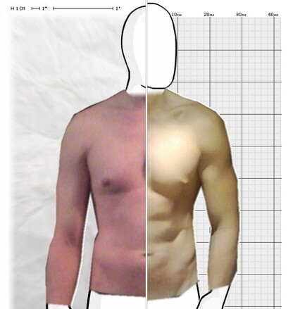 Torso Comparison