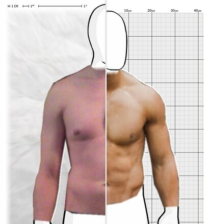 Torso Comparison