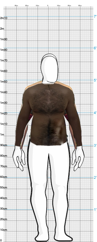 Full Size Comparison