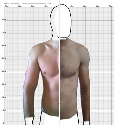 Torso Comparison