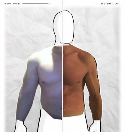 Torso Comparison