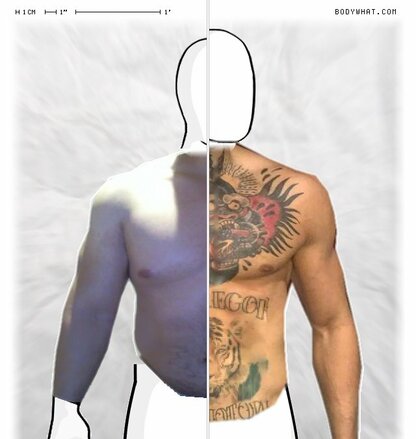 Torso Comparison