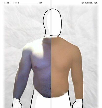 Torso Comparison