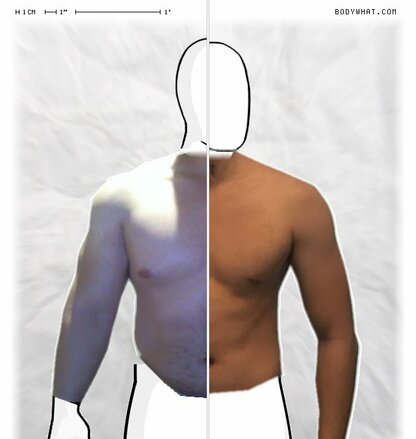 Torso Comparison