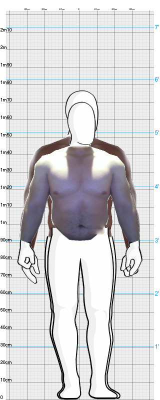 Full Size Comparison