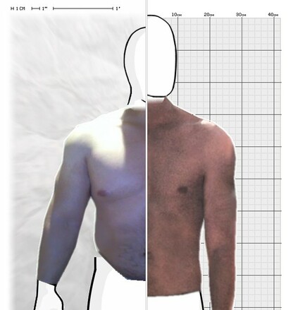 Torso Comparison