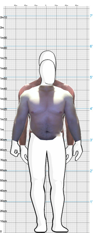 Full Size Comparison