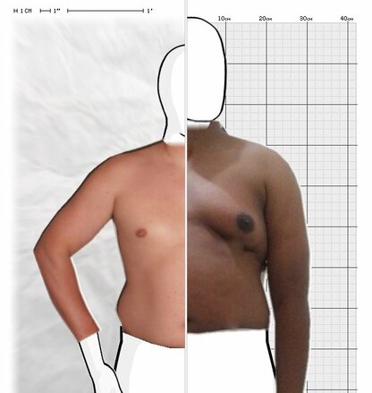 Torso Comparison