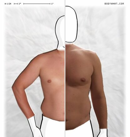 Torso Comparison