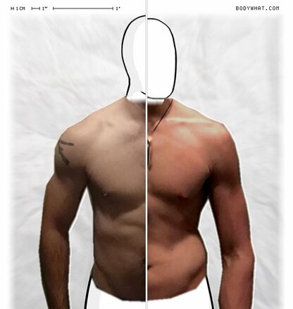 Torso Comparison