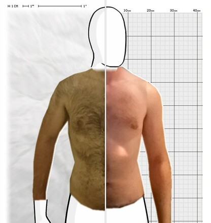 Torso Comparison