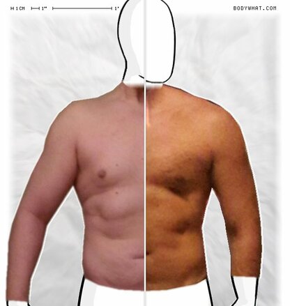 Torso Comparison