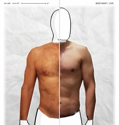 Torso Comparison