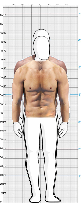 Full Size Comparison