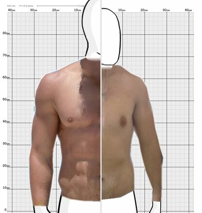 Torso Comparison