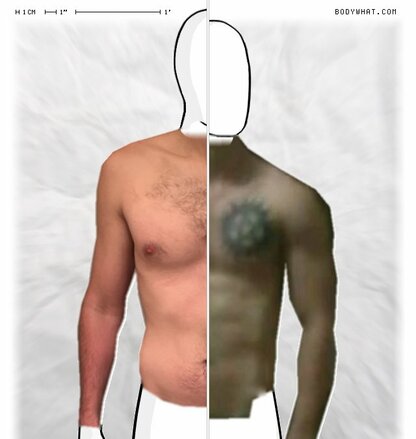 Torso Comparison