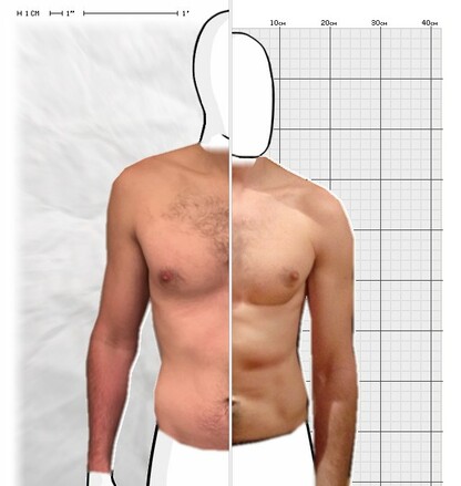 Torso Comparison