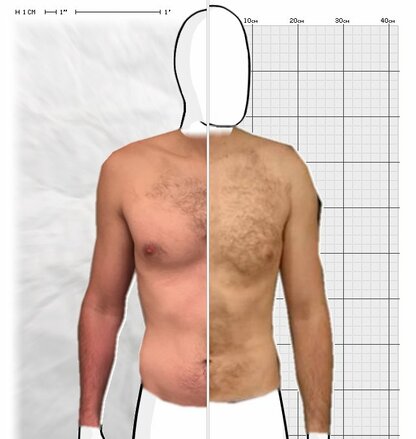 Torso Comparison