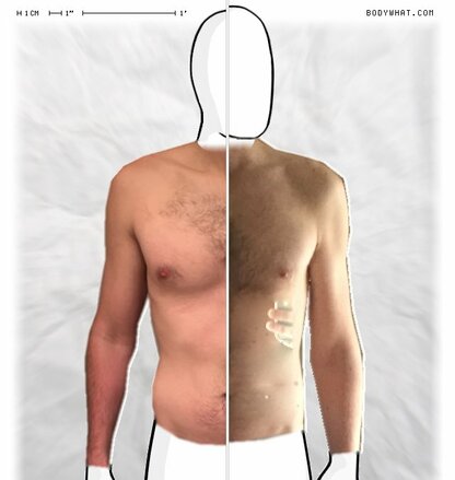 Torso Comparison