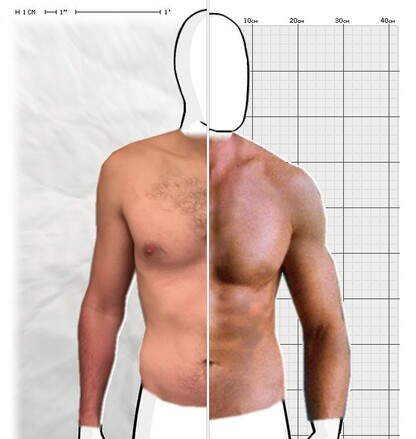 Torso Comparison