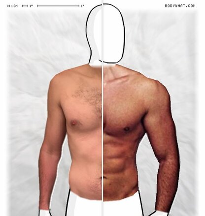 Torso Comparison