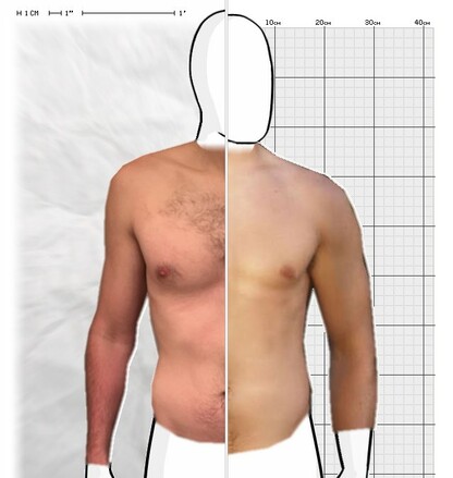 Torso Comparison