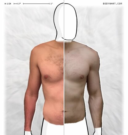 Torso Comparison