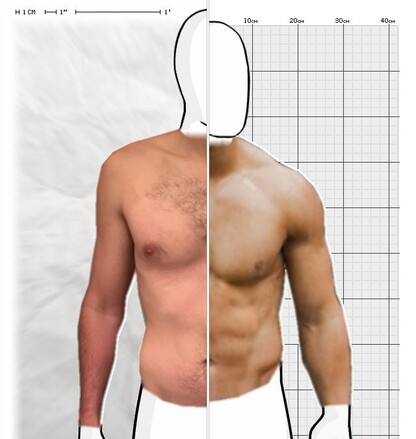 Torso Comparison