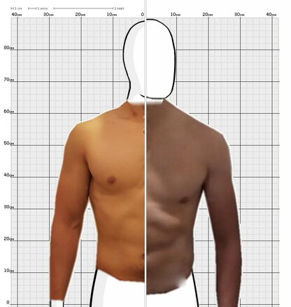 Torso Comparison