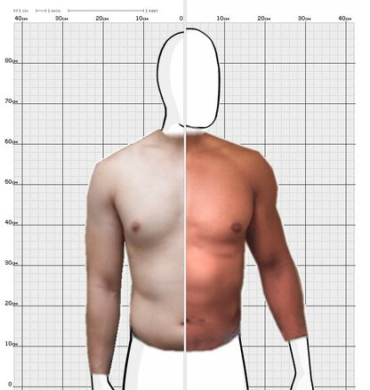 Torso Comparison