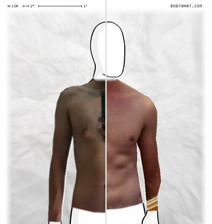 Torso Comparison