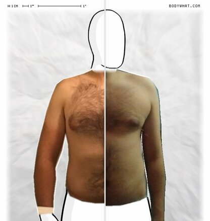 Torso Comparison