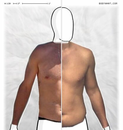 Torso Comparison