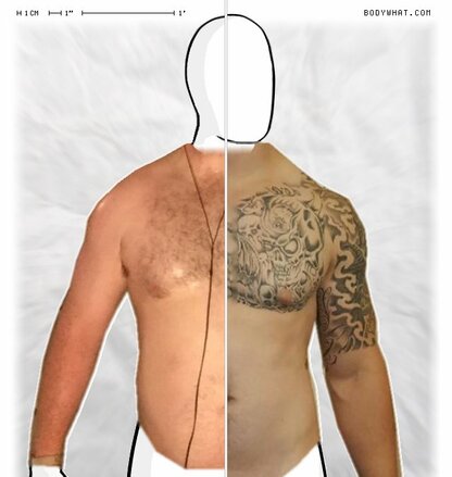 Torso Comparison